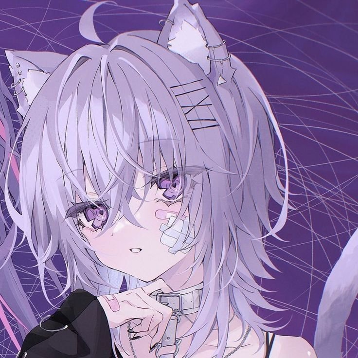 ZouPunipuni's profile picture. 当只快乐的小蚂蚁 明人不说暗话 注册推特就是挺7哥的