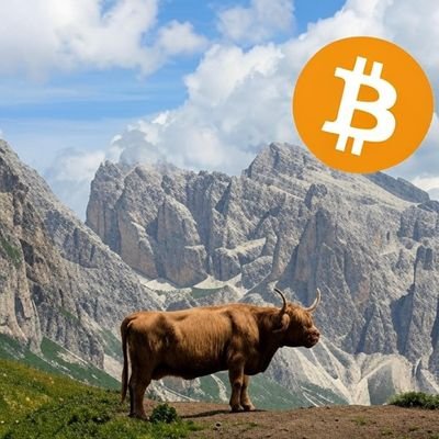 Bitcoin Education / Entertainment
- Travel - Longevity Health - Abundance Investing -
Technical Analyst for Fun - Not Financial Advice -