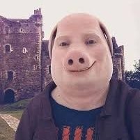 jorakvh's profile picture. 