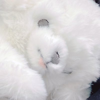Mirukuさんのプロフィール画像