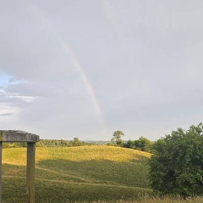 dawqness's profile picture. 