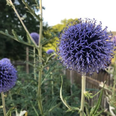 Natasaxyz's profile picture. Bralka, poslušalka, gledalka, ljubiteljica kave.