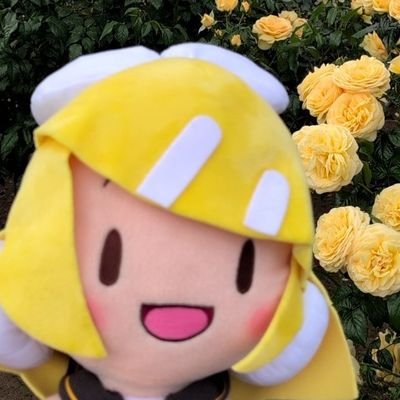 Nyanrola's profile picture. リンちゃんぬいと色々巡ってるやつ
ささくれさんとbazzGが好きです。

DIVAプレイ中