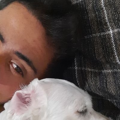 - Crônicas de Luiz G. O. Santos: Uma Jornada de Emoções e Reflexões