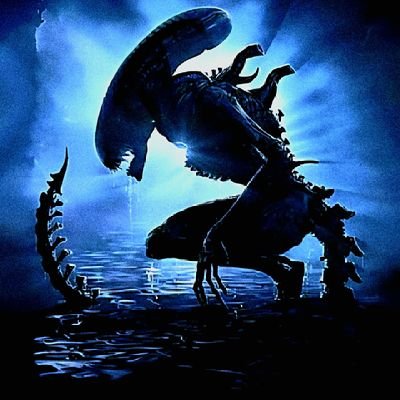 MotherMosher's profile picture. 