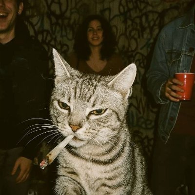 Zen_am61's profile picture. 