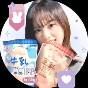 lovescoupssh's profile picture. ᶠⁱʳˢᵗ ᵃᶜᶜ @bbyjmsh || ⁺₊ ໑ ʙᴜꜱɪɴᴇꜱꜱ ᴀᴄᴄᴏᴜɴᴛ 🫐 stan @/bts & @/cortis