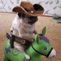 狠 (@relentless02) 's Twitter Profile