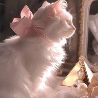 D🪷 (@angvcz) 's Twitter Profile Photo