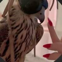 ٰ (@oi3ko) 's Twitter Profile Photo