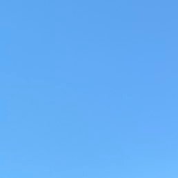 aaakmgmgmpdgm's profile picture. 