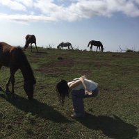 negar (@mostlynegar) 's Twitter Profile