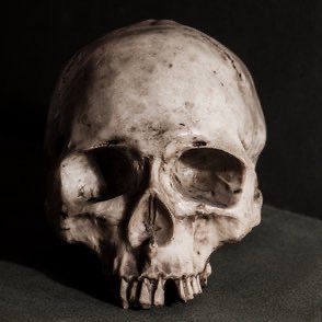 N0o0bplayer's profile picture. depressed