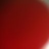 rileysdiaryreal's profile picture.