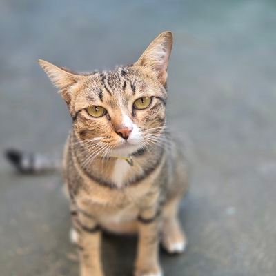 princether's profile picture. หม้ามี้ม๋าเด็กเฟรี่ มีลูกสะใภ้คือ ญดา คนสวย #faymay