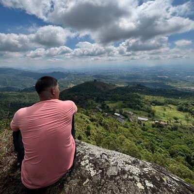 viedmandev's profile picture. Software Engineer |
Universidad del Valle