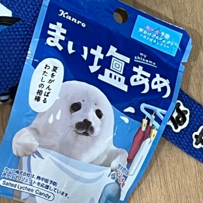 流星海豹の空⛩🦭7/20🐟🌠