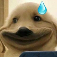 ₊˚•🧸 ♡ ✨꒱⋆จิ๋วของมามี้🩵 (@ai__parichus) 's Twitter Profile