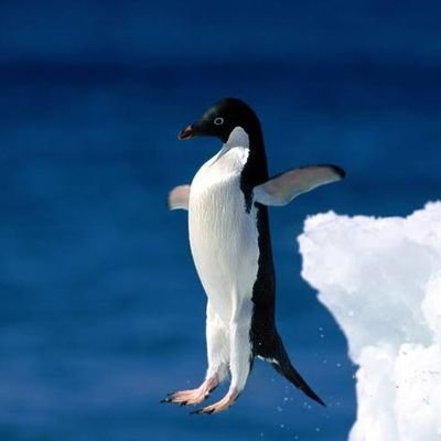 sug1m0t0_unk's profile picture. B1