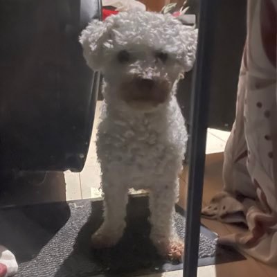 Ghilnhii68's profile picture. SEunt