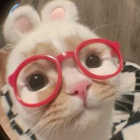 yayee (@uryayeeishere) 's Twitter Profile Photo yayee (@uryayeeishere) 's Twitter Profile Photo