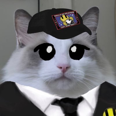 ☆ web dev with 1000 kittens ☆