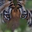 Earlene McCoy - @EarleneMcc73036 - Twitter