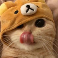 vntqge (@vntqge) 's Twitter Profile Photo vntqge (@vntqge) 's Twitter Profile Photo