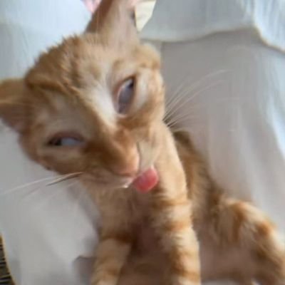 archmericano_'s profile picture. semoga tetap waras, amin.