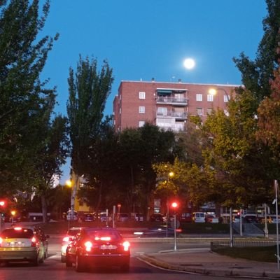 oswaldo1160122's profile picture. Oso discreto, amable, respetuoso.
Trata a las personas como te gustaría que te traten a ti..😉