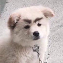 bora_nori's profile picture. 