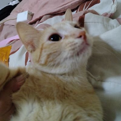 CaSaEs2014's profile picture. jajajaja