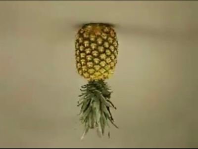 rudethrillerr's profile picture. BlackStag looking for vixen. Straight AF