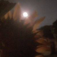 ChristianaMae (@squeakyjo79) 's Twitter Profile
