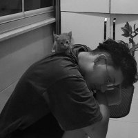 Dört kedi babası (@ensnksc) Twitter profile photo