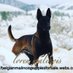 Loren Armour (@lorenmalinois) Twitter profile photo Loren Armour (@lorenmalinois) Twitter profile photo