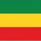 Green, yellow and red freedom fighter!!! (@tj70555083) 's Twitter Profile
