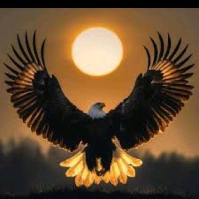 elhamdilah's profile picture. 