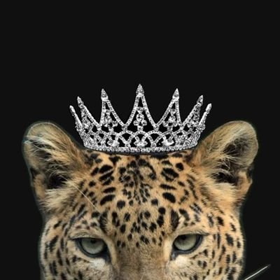 EsmaNur16771310's profile picture. 