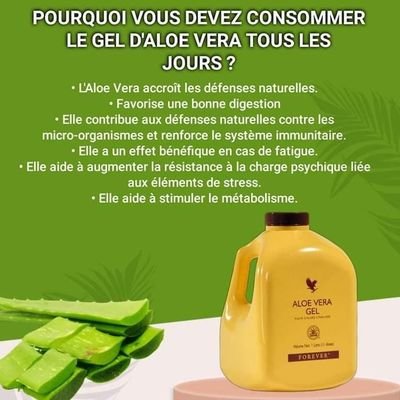 Insabissidy1's profile picture. Honnête et travailleur