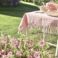 Irlanda (@irisli3105) 's Twitter Profile