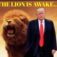 USA 🇺🇸 (@donaldtrumpprt) 's Twitter Profile Photo USA 🇺🇸 (@donaldtrumpprt) 's Twitter Profile Photo