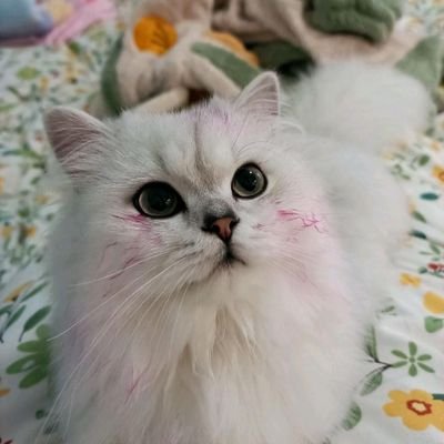 NanJiu61999's profile picture. 1