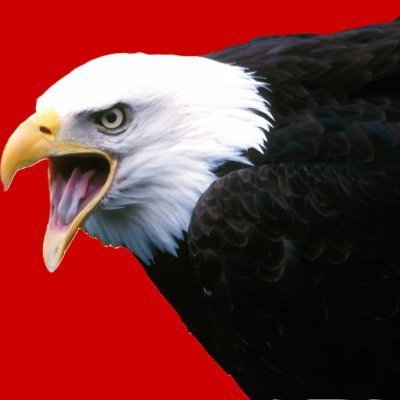 HUNU_1a's profile picture. Political Scientist and Historian