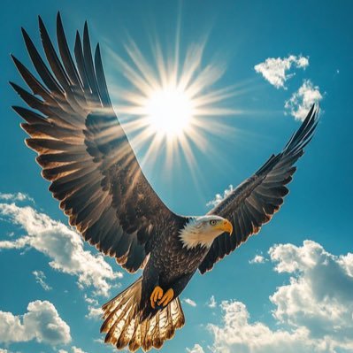 Clarozeya's profile picture. Turn on your notifications 🔔 I DROP GOOD ALPHA LISTED ON @Mexc and @Kucion .💎 DAILY NEWS 📰 AND OPINIONS.