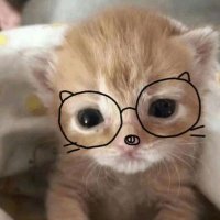ゆ (@yulls2_) 's Twitter Profile