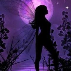 There is only one light that guides me, and that light is experience.