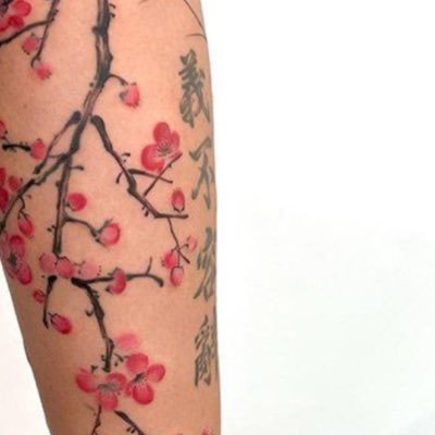 bigbandzshawdy's profile picture. 