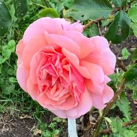 MJB (@d0bcb837c29741d) 's Twitter Profile
