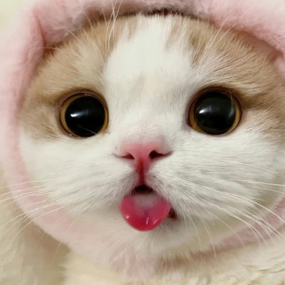 ayakkabisuyu's profile picture. 